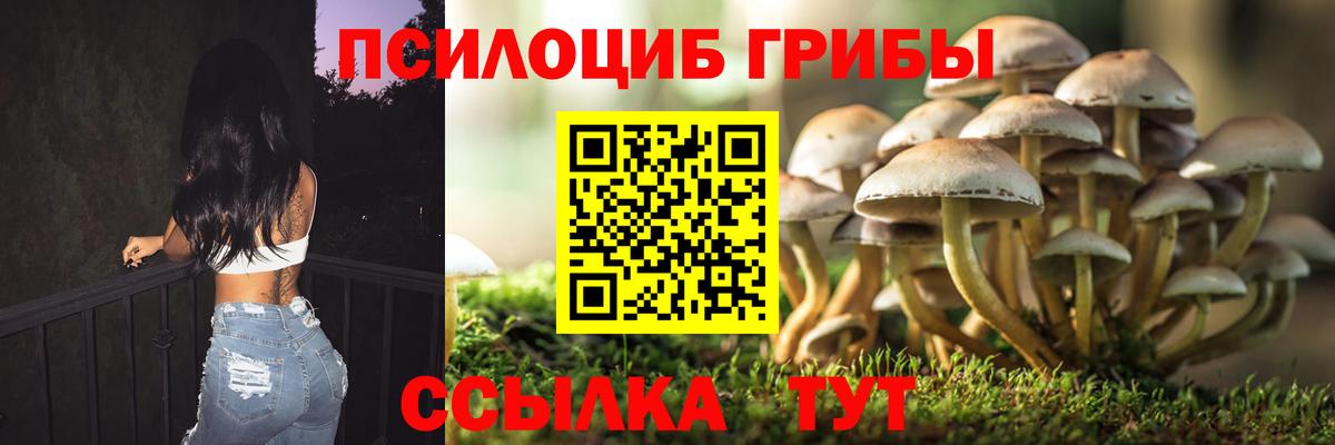 Санкт-Петербург  Псилоцибиновые грибы Psilocybe  Вход с VPN 
